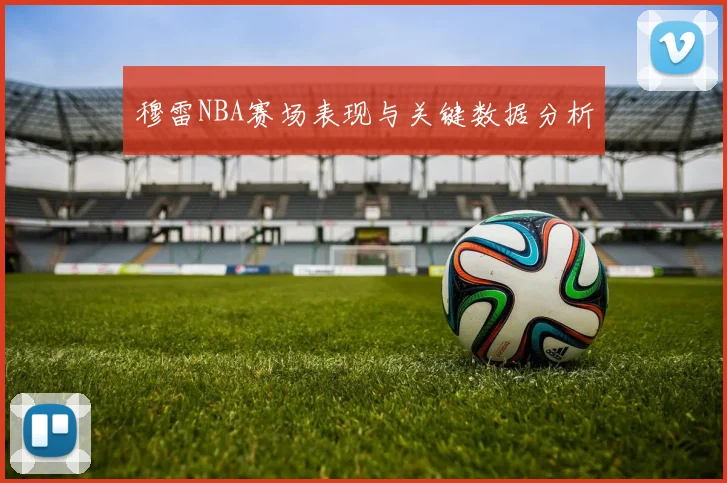 穆雷NBA赛场表现与关键数据分析